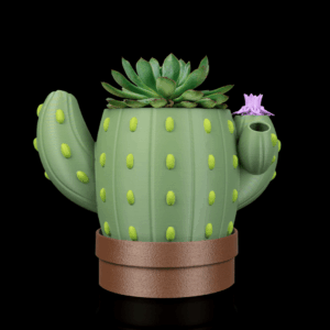 Macetero Cactus - Indicador de Agua