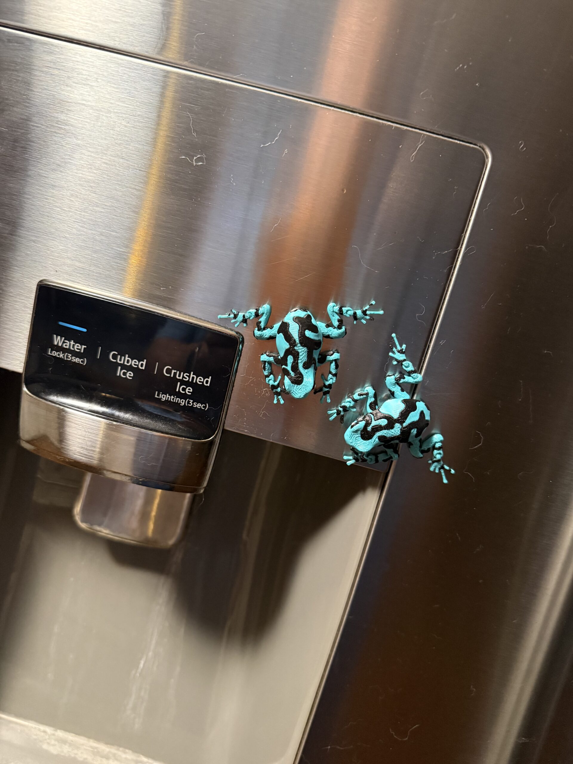 Darcy, the Magnetic Poison Dart Frog! - Image 5