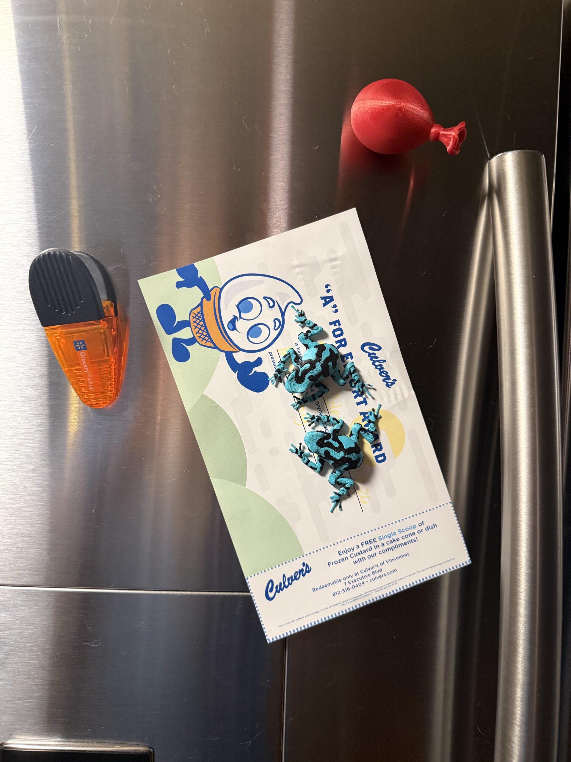Darcy, the Magnetic Poison Dart Frog! - Image 4