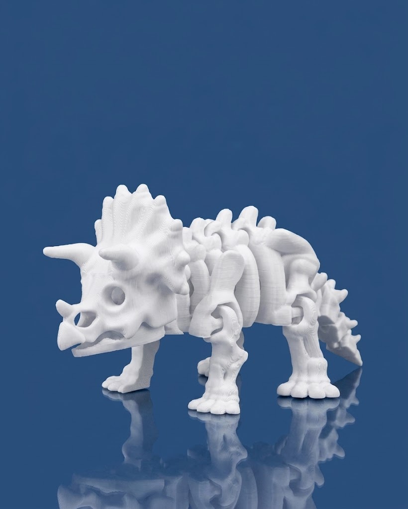 Skeleton Triceratops - Image 3