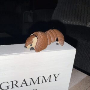 Armadillo