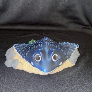 Ray, the Multicolor Manta Ray on Coral Reef Display - Premium Dual-Color Silk 3D Print
