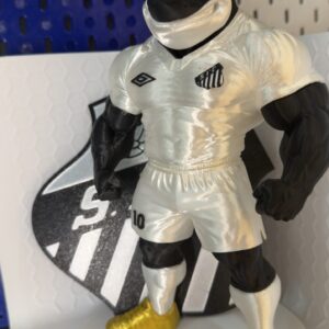 MASCOTE SANTOS