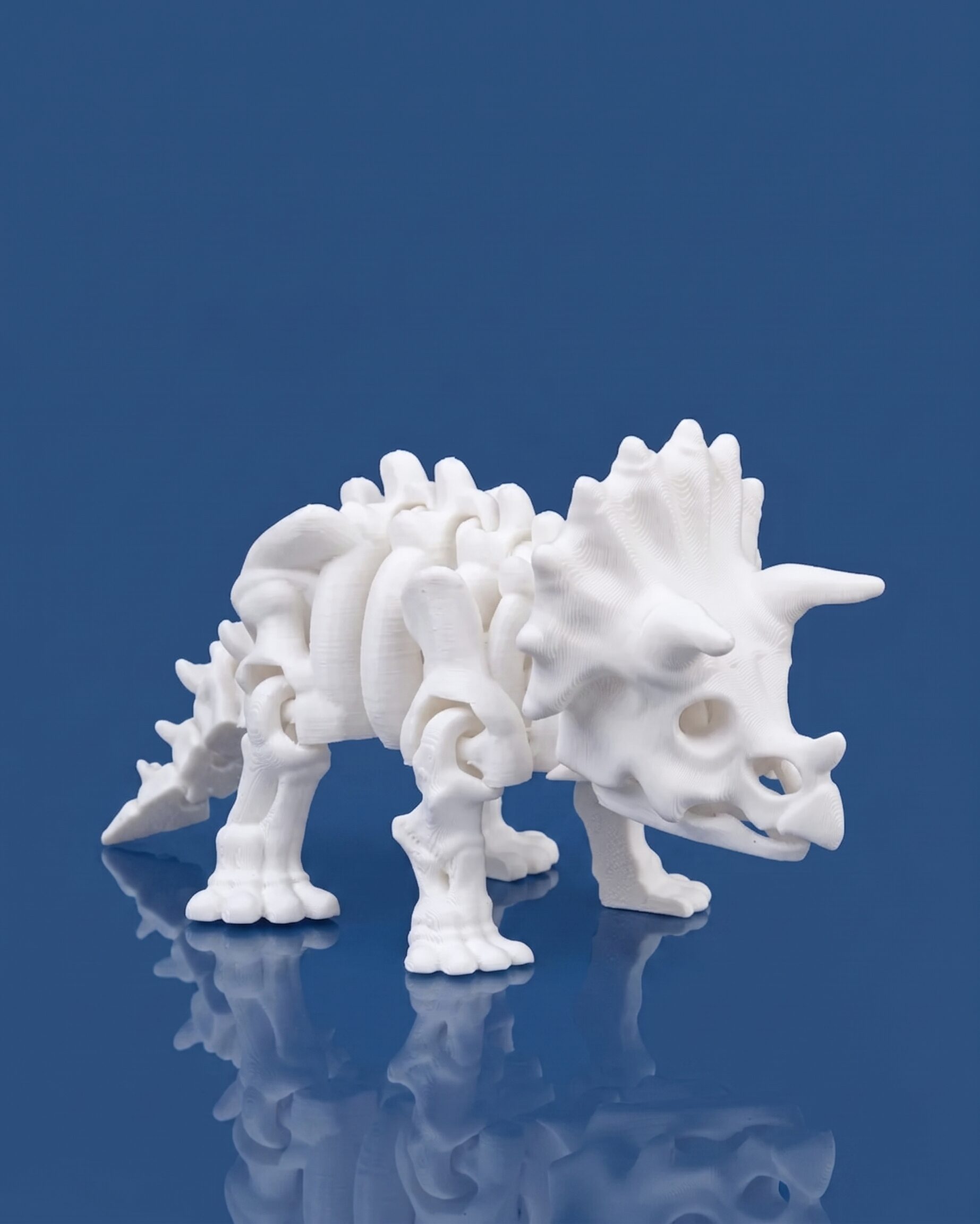 Skeleton Triceratops