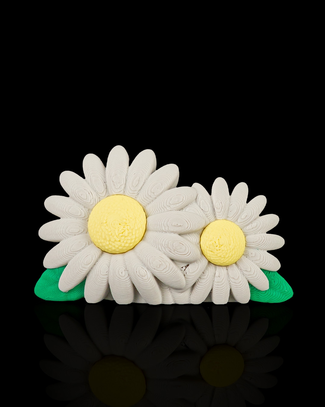 Daisy Duo - Photo Frame - Image 4
