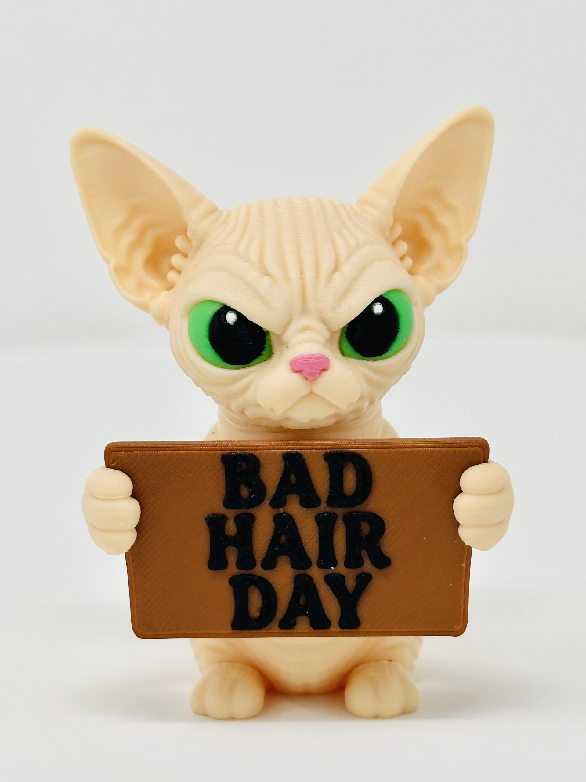 The Sphynx Cat - Holidays with Attitude - Image 11