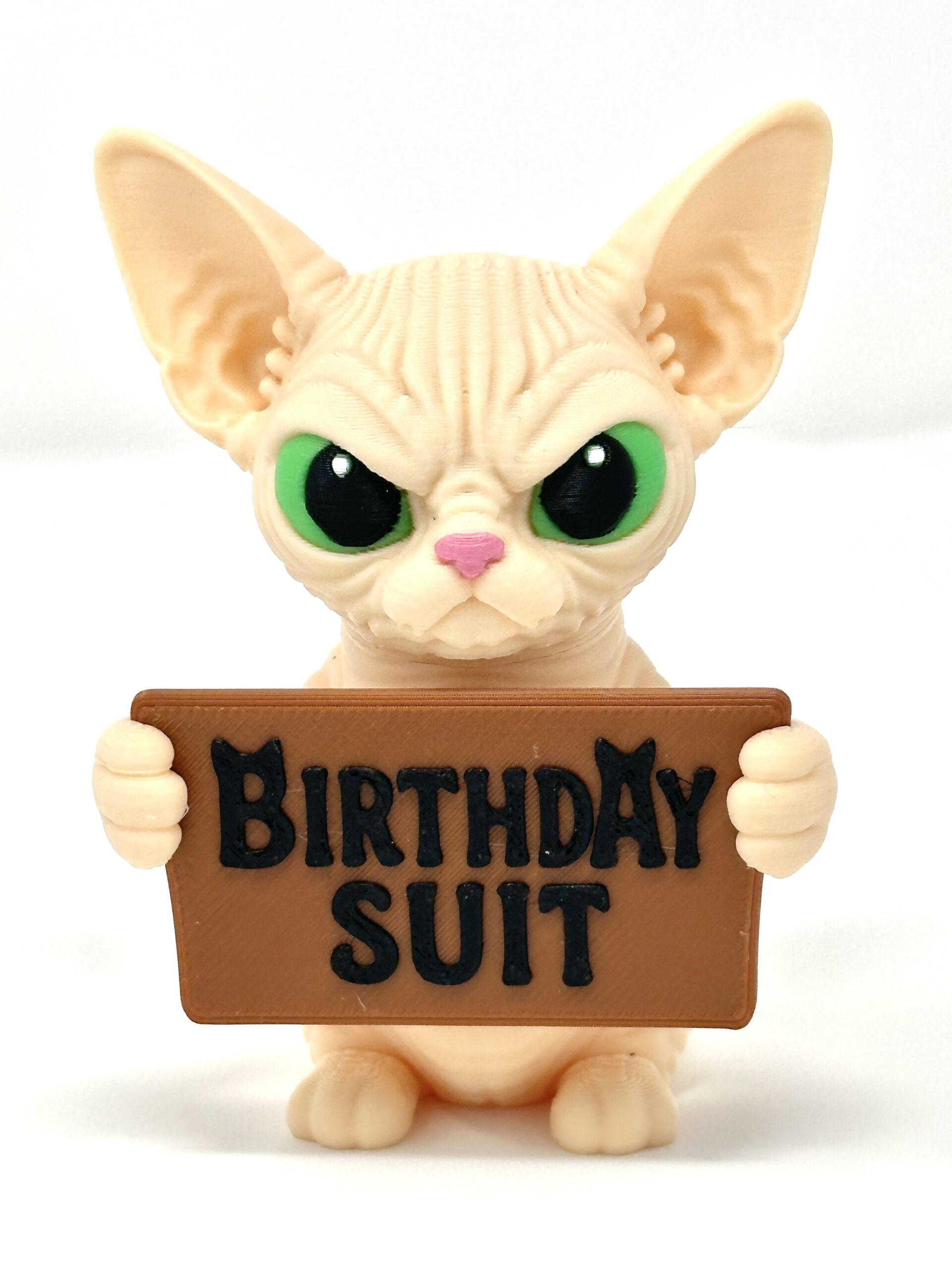 The Sphynx Cat - Holidays with Attitude - Image 10