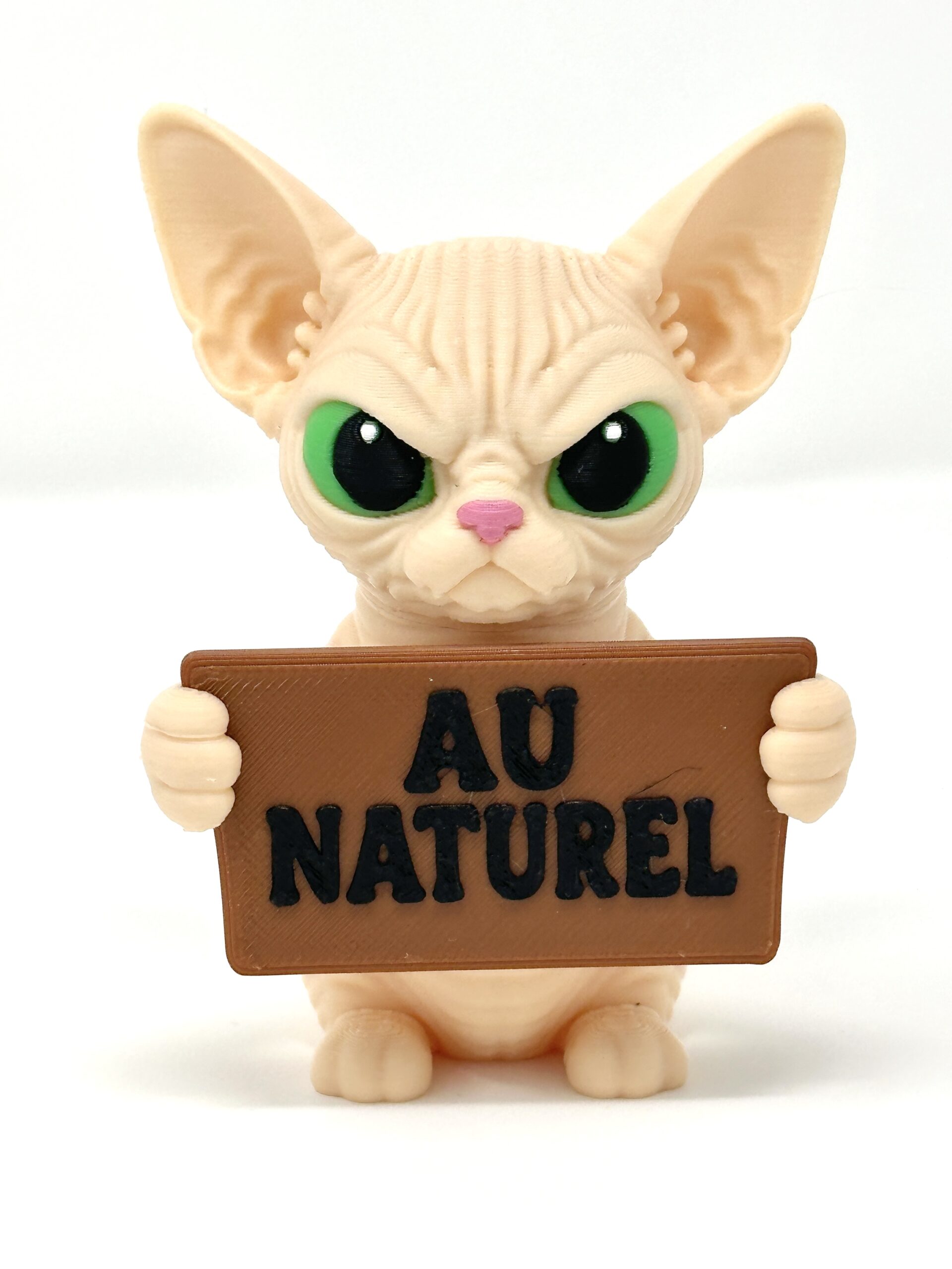 The Sphynx Cat - Holidays with Attitude - Image 9