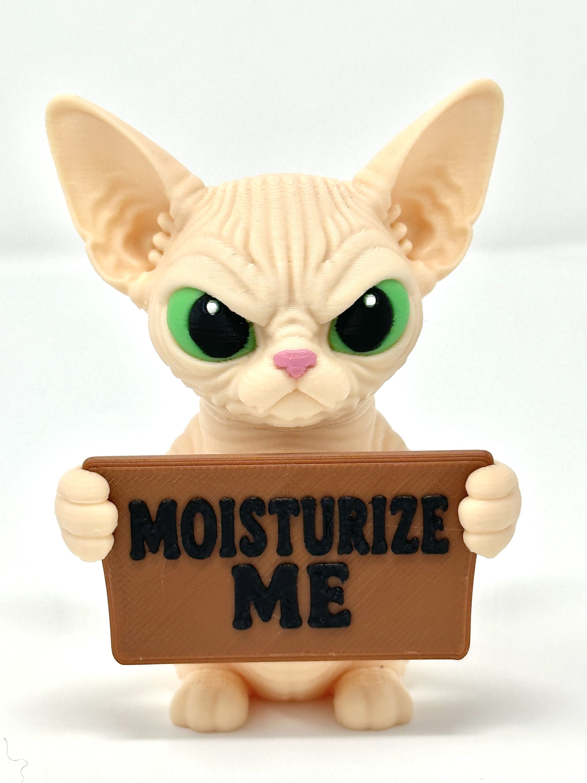 The Sphynx Cat - Holidays with Attitude - Image 7