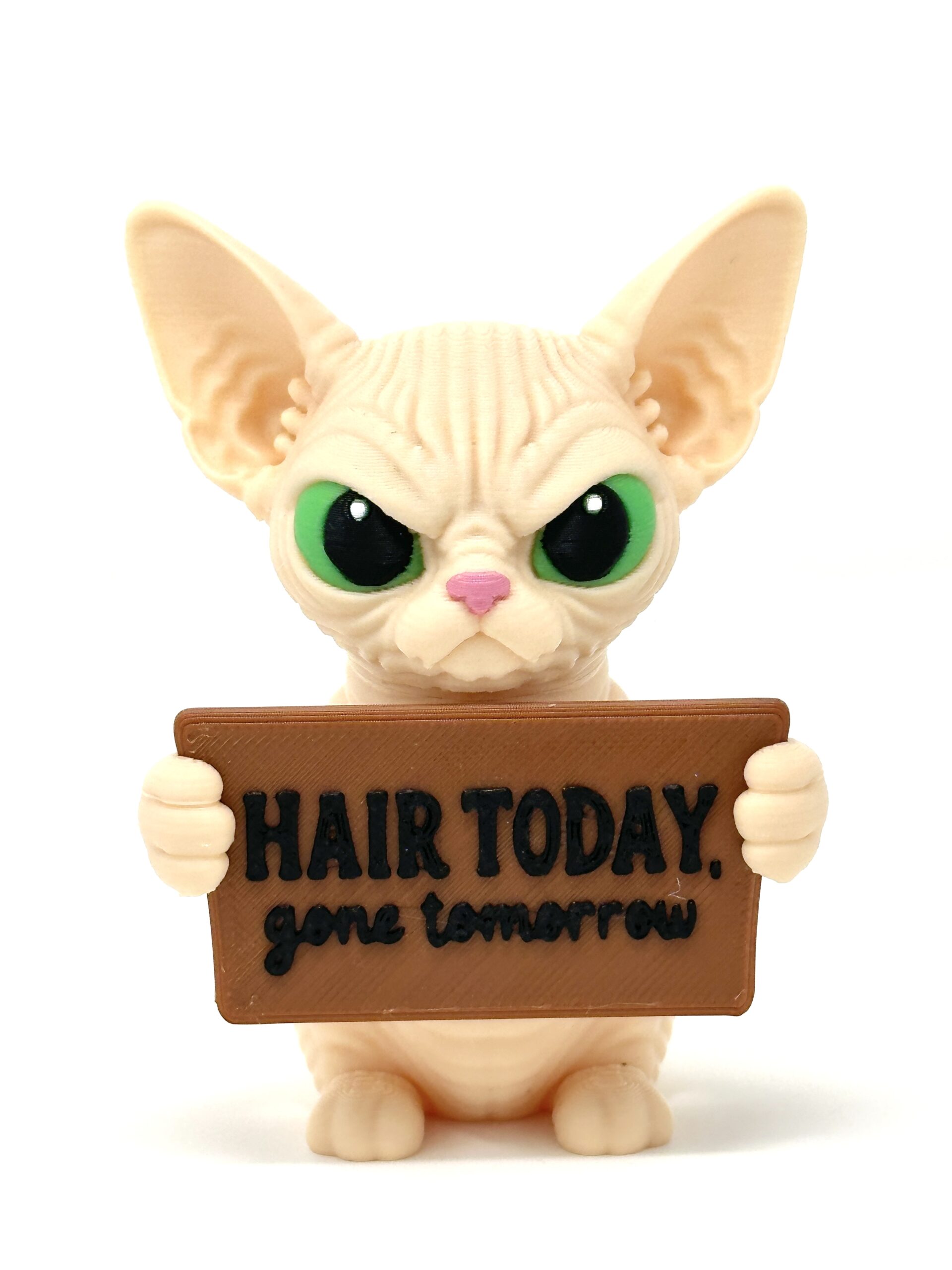 The Sphynx Cat - Holidays with Attitude - Image 4