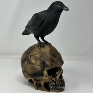Raven on Skull Statue