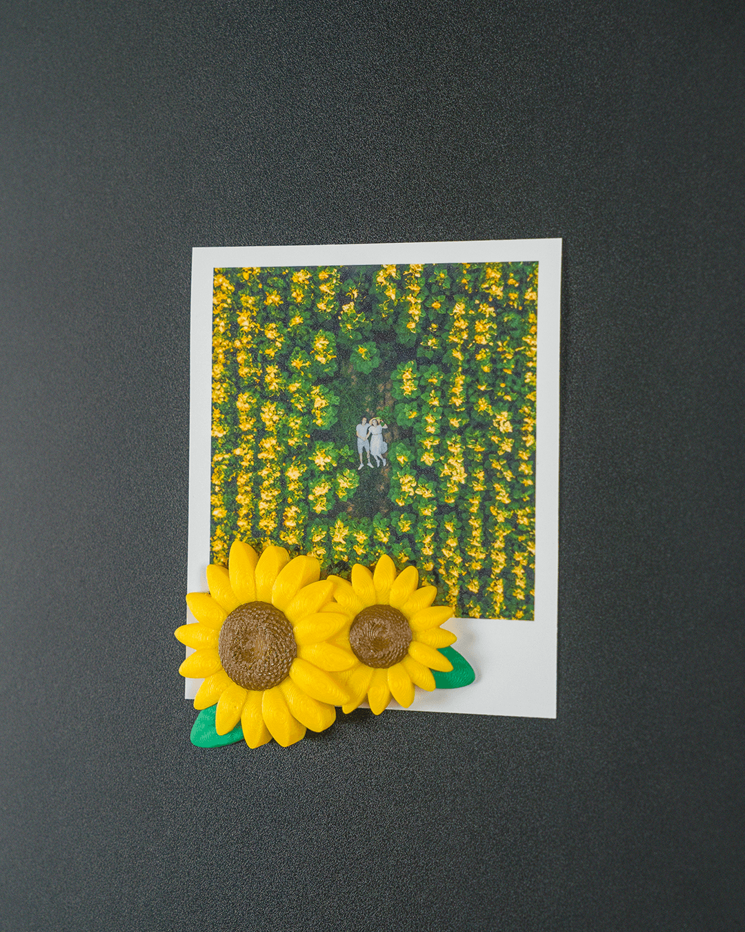 Sunflower Duo - Photo Frame - Image 3