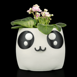 Vaso 3D Auto-Irrigável Carinha Fofa – Muda de Expressão