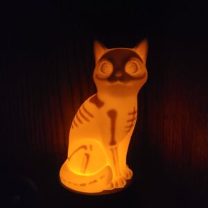 X-Ray Cat - Table Lamp