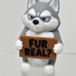 Husky Dog - Animals with Attitude