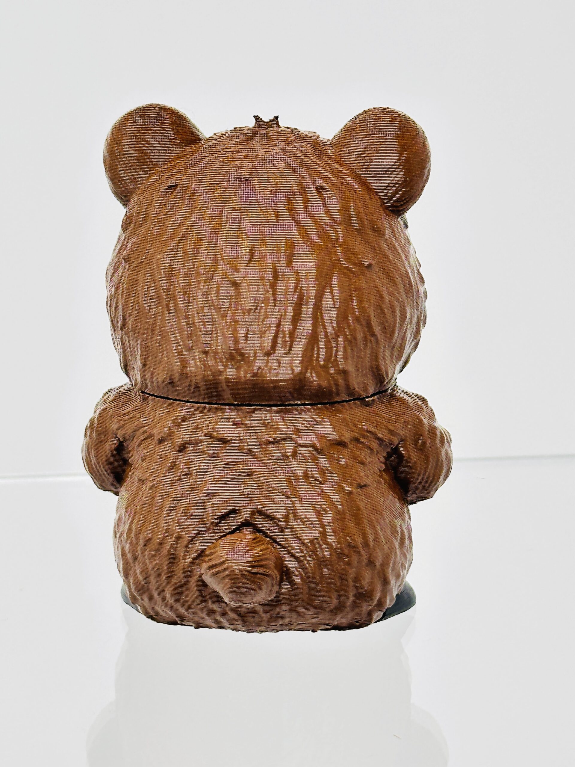 Bear - Animals with Attitude - Image 6