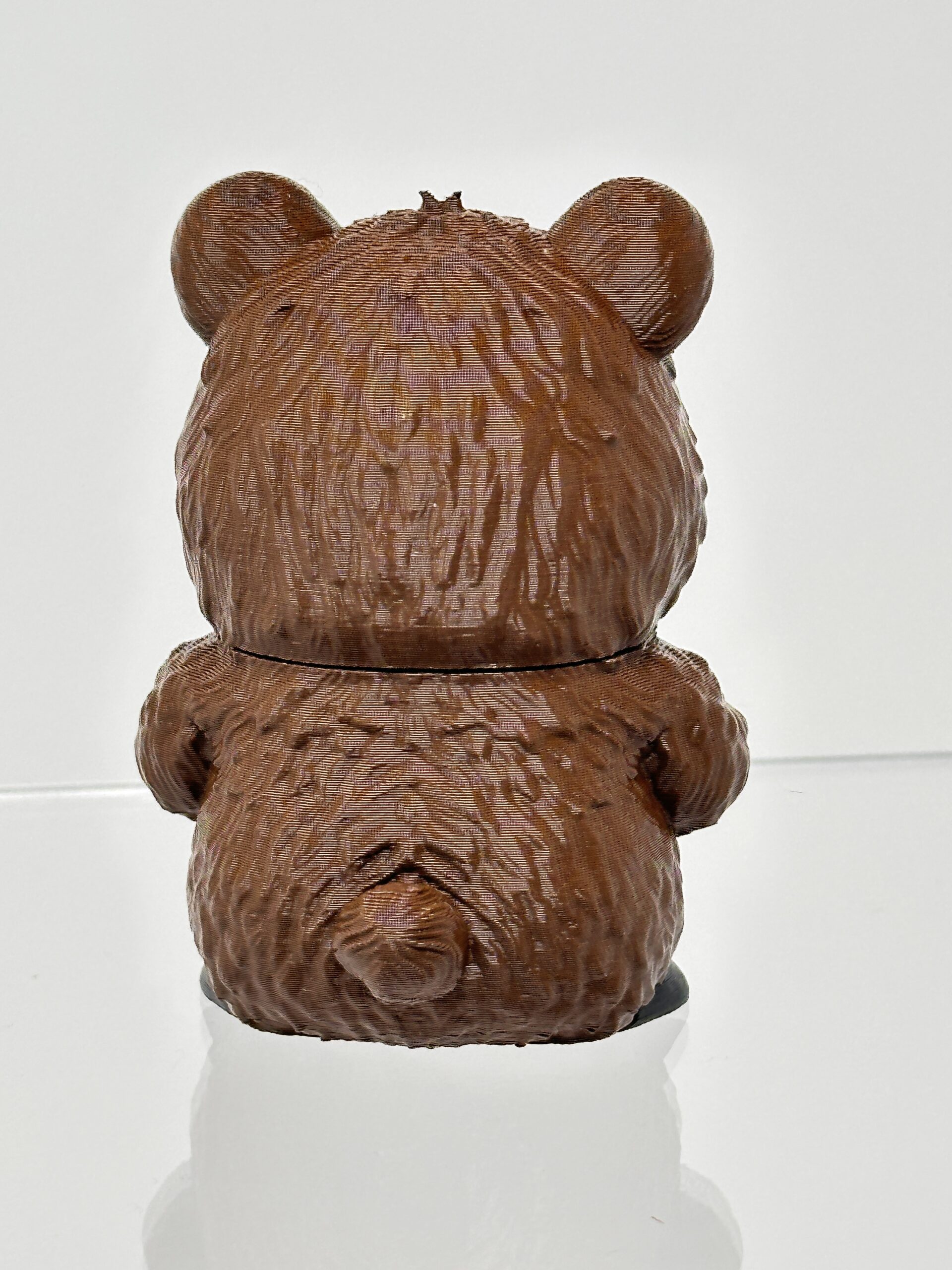 Bear - Animals with Attitude - Image 5