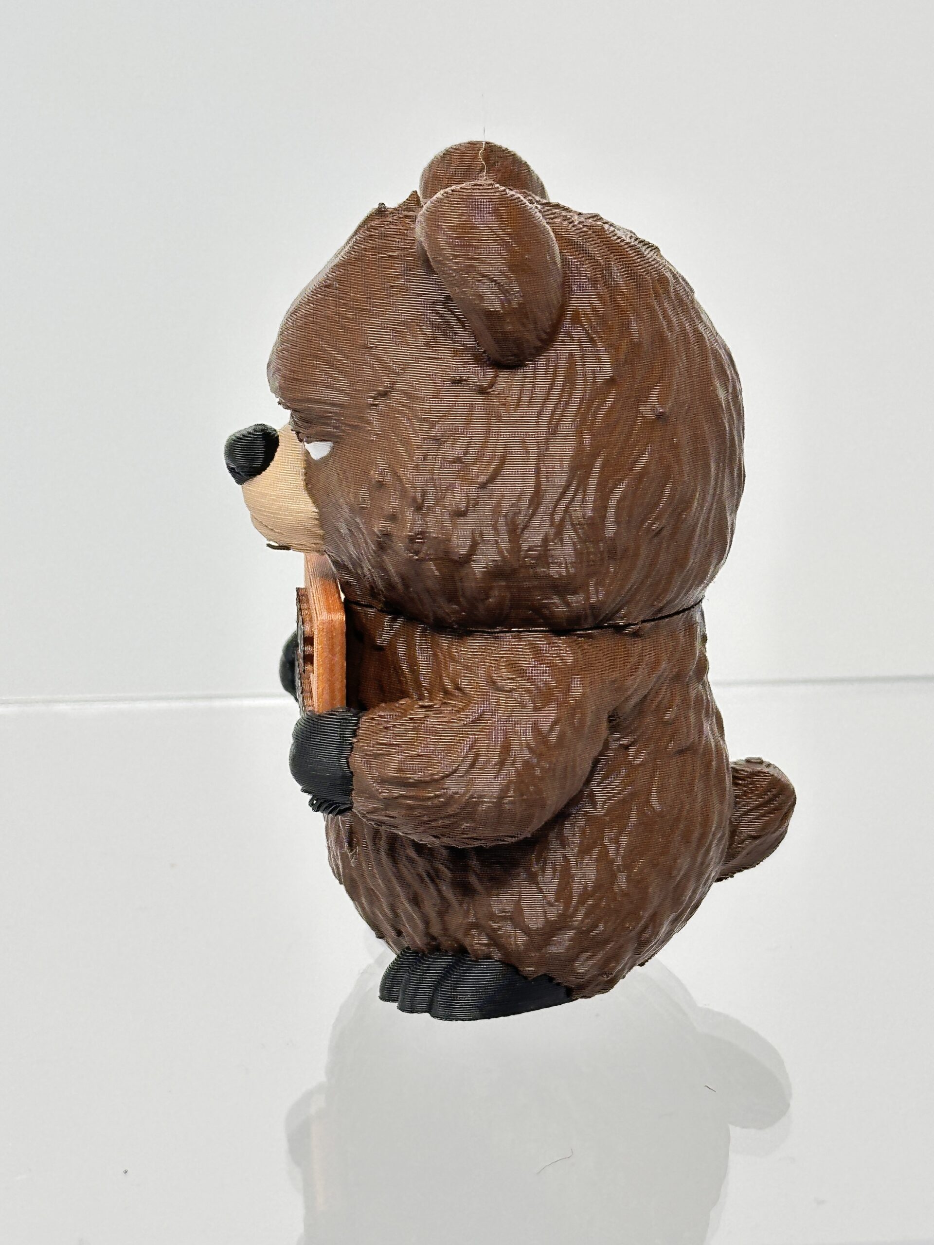 Bear - Animals with Attitude - Image 7