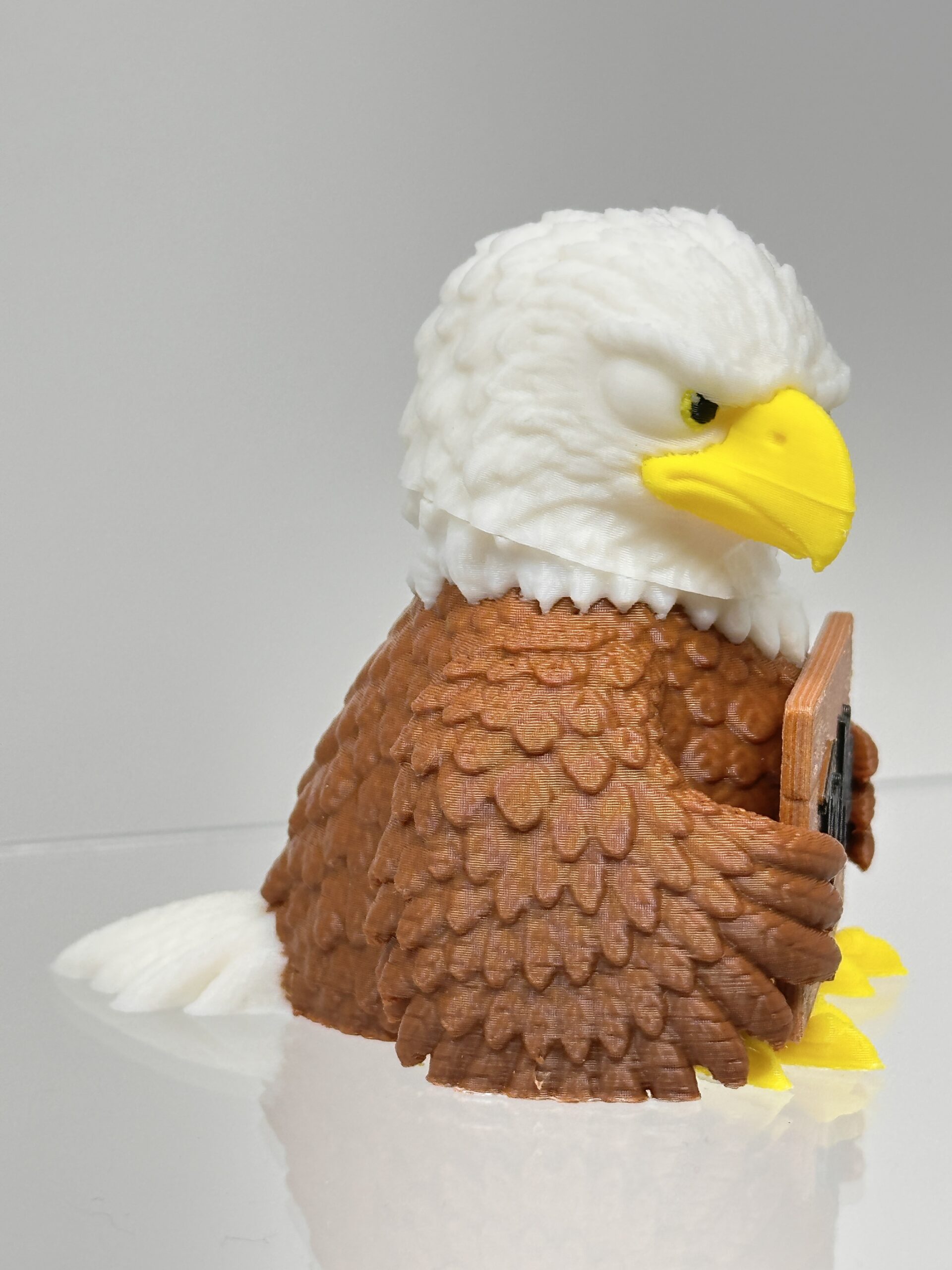 Eagle - Animals with Attitude - Image 5