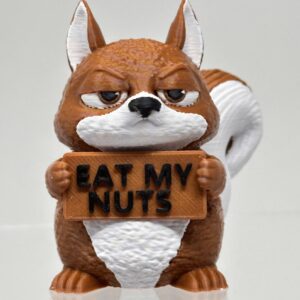 Squirrel - Animals with Attitude