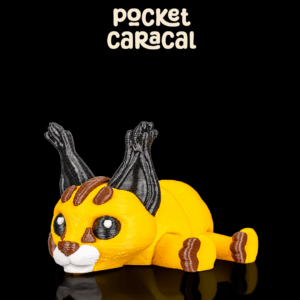 Pocket Caracal