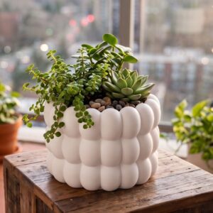 Modern Bubble Planter