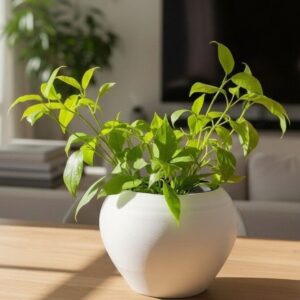 Hammered Self-Watering Planter Pot – 3D Printed Indoor Plant Pot